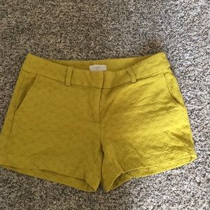 Citron textures Loft outlet shorts